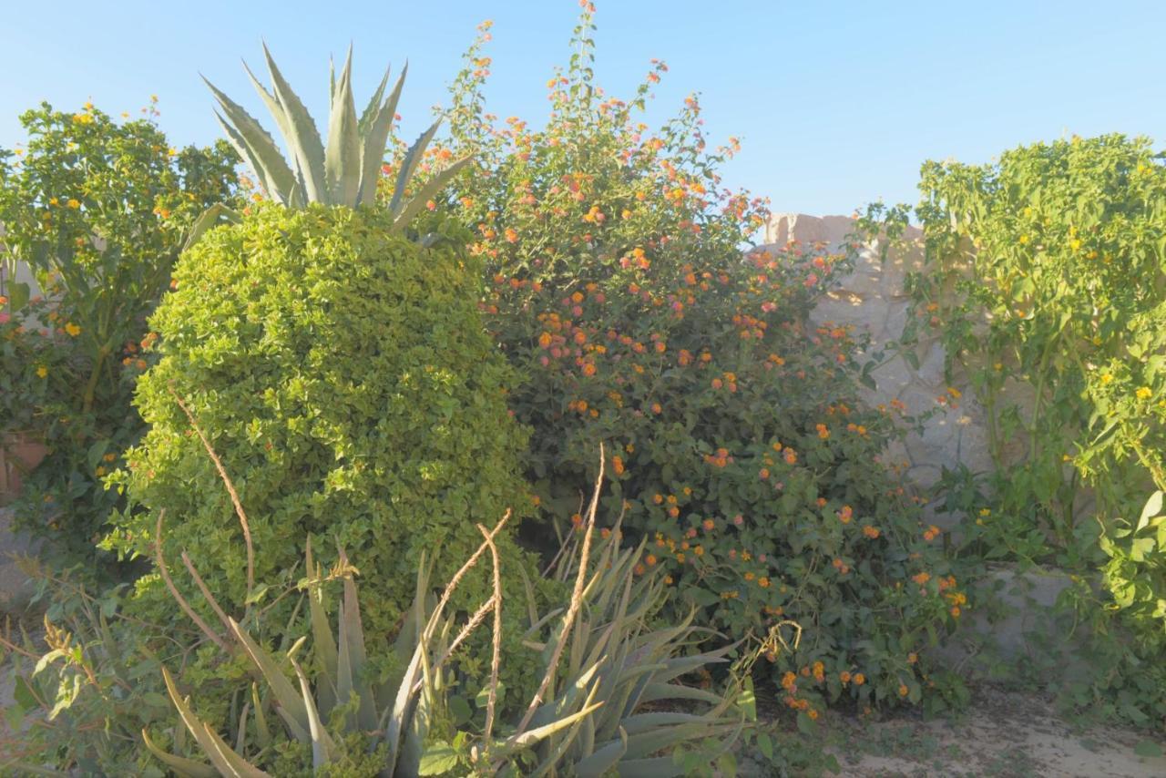 Happy Bedouin House Petra Bed & Breakfast Al Hayy Dış mekan fotoğraf