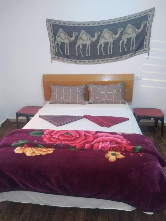 Happy Bedouin House Petra Bed & Breakfast Al Hayy Dış mekan fotoğraf